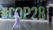 Commentary: As disasters and heat intensify, can the world meet the urgency of the moment at COP28 climate talks?